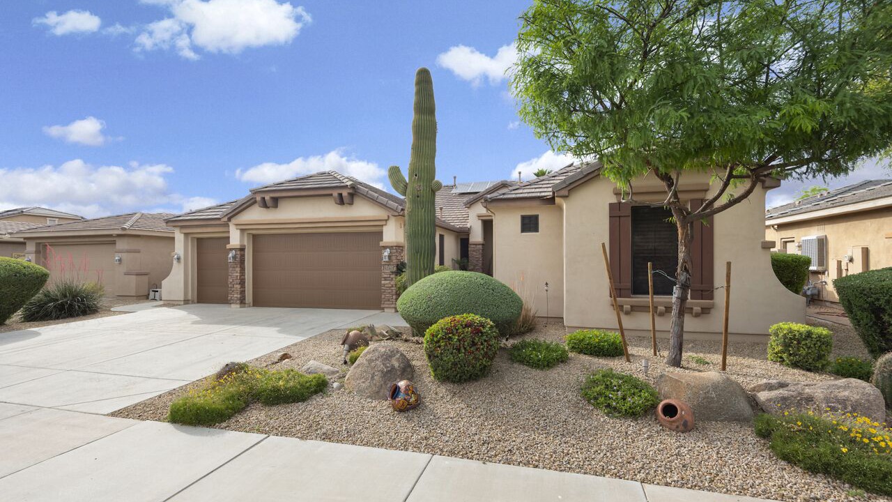 Photo of Outdoor in Palm Valley