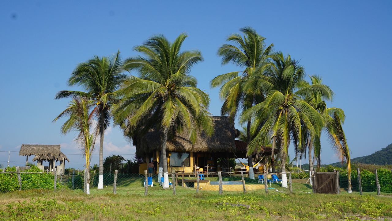 Photo of Outdoor in Troncones