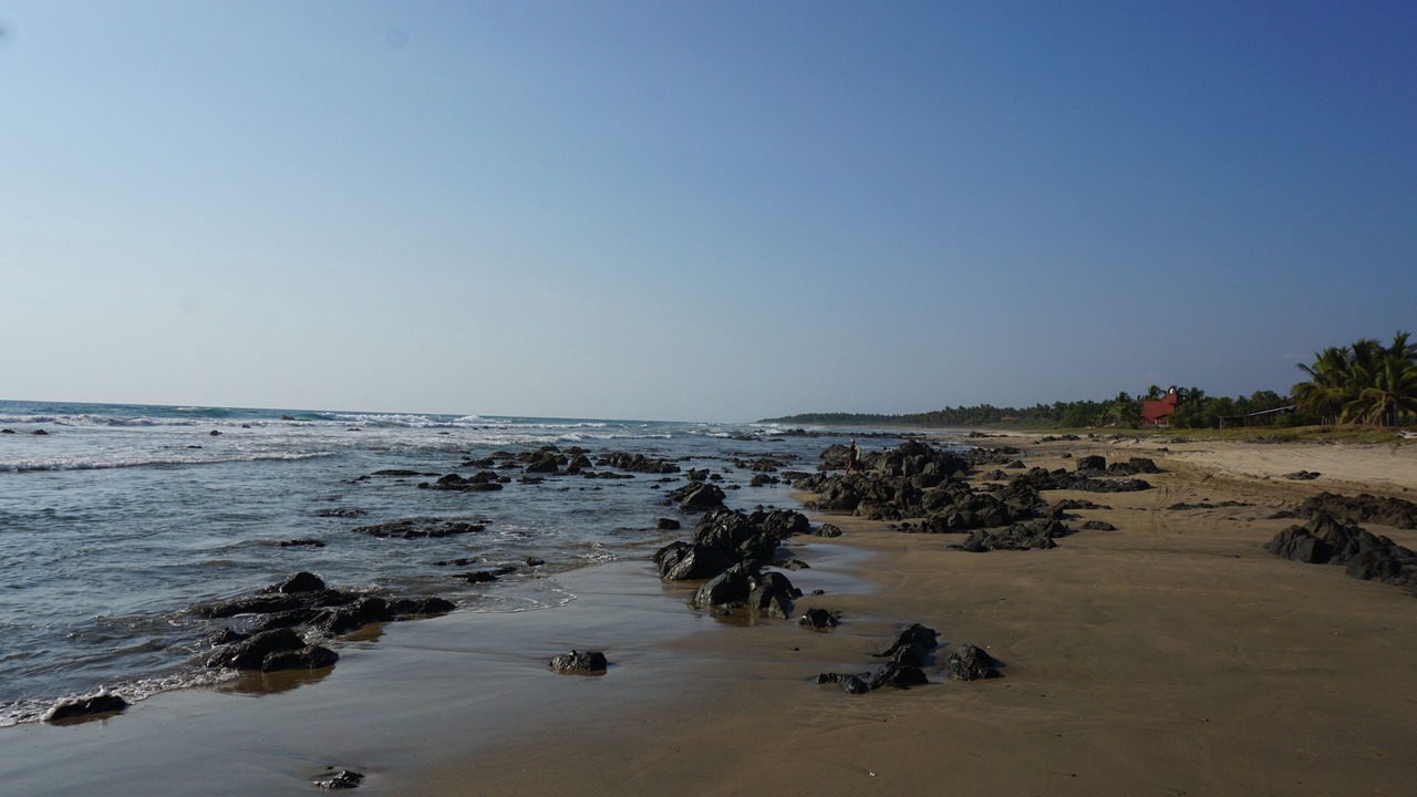 Photo of Others in Troncones