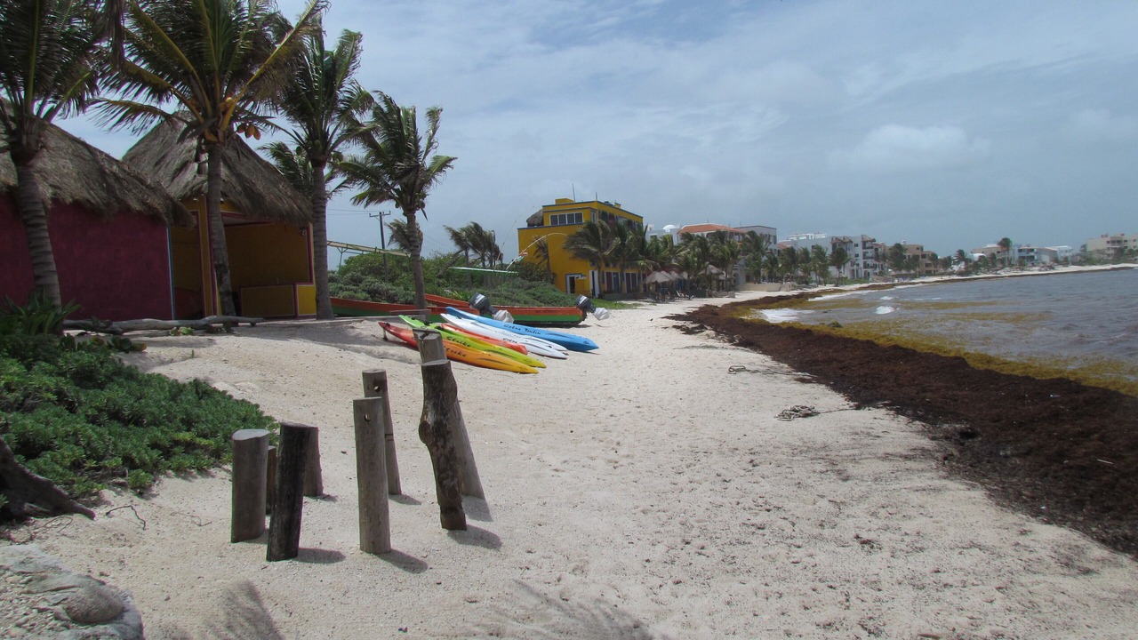 Photo of Others in Playa Mujeres