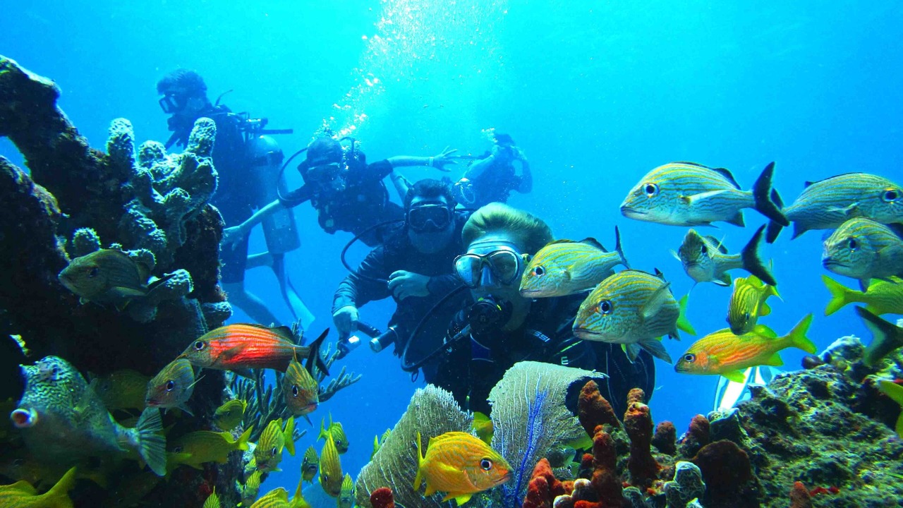Photo of Others in Puerto Morelos
