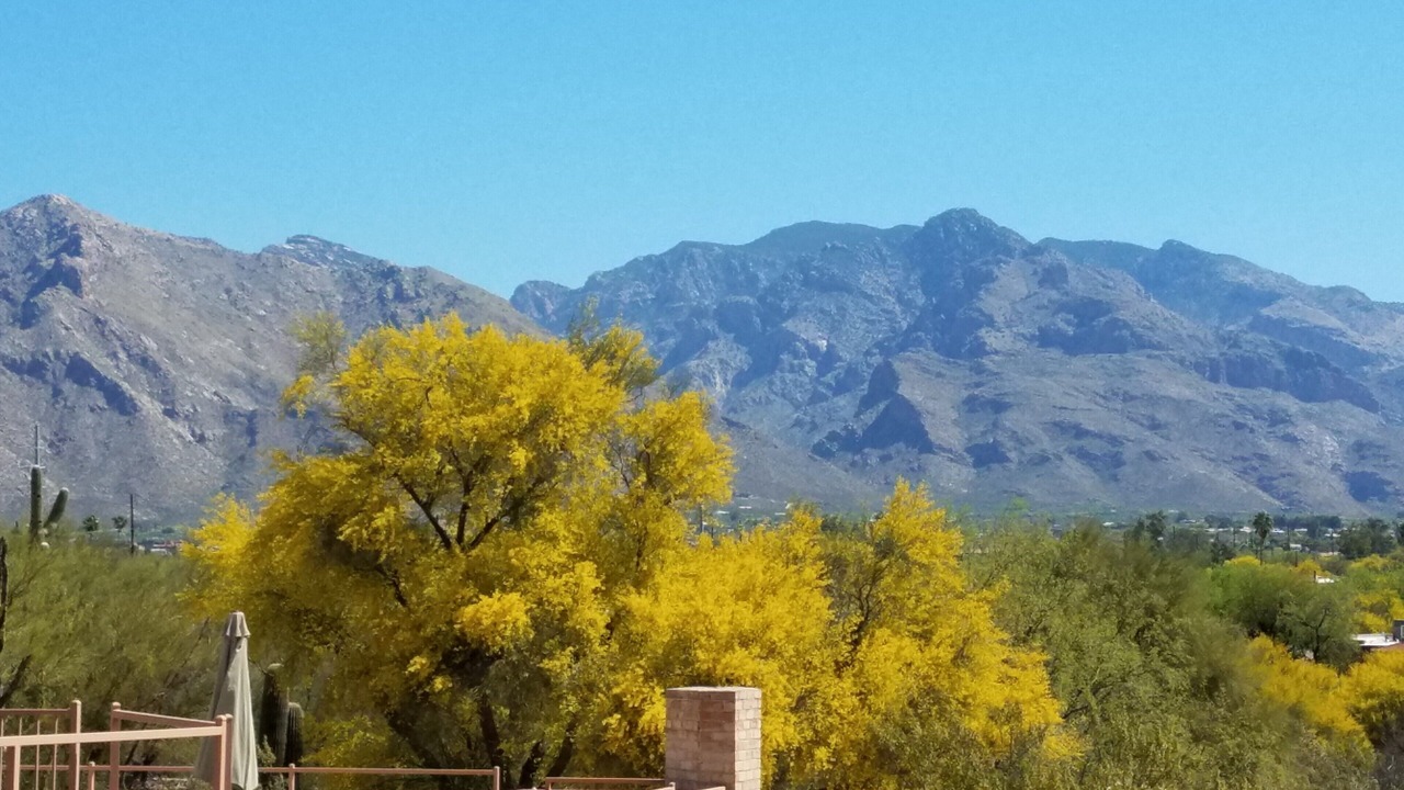 Photo of Outdoor in Casas Adobes