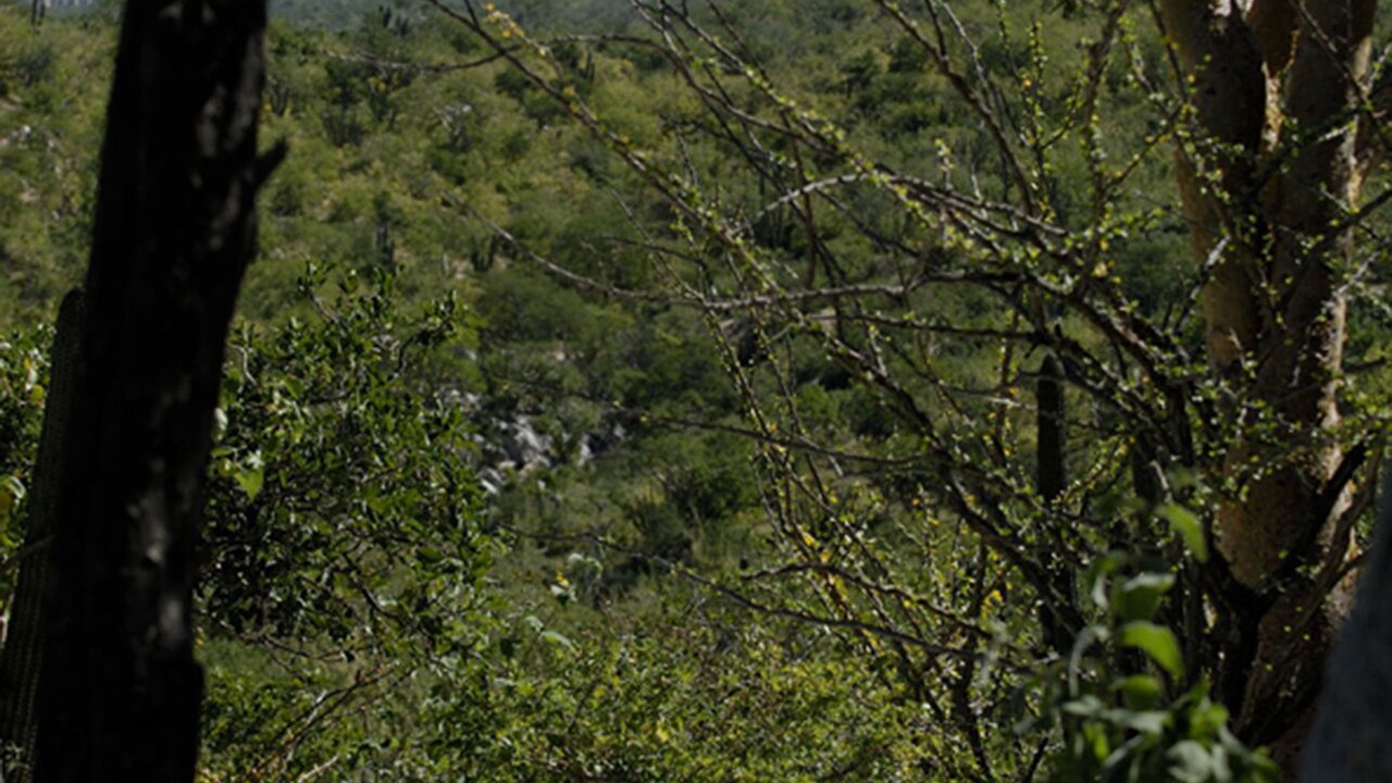 Photo of Outdoor in La Paz