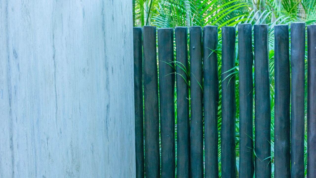 Photo of Outdoor in Punta de Mita