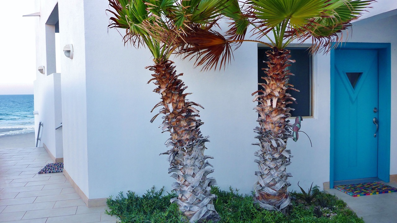 Photo of Others in Las Conchas
