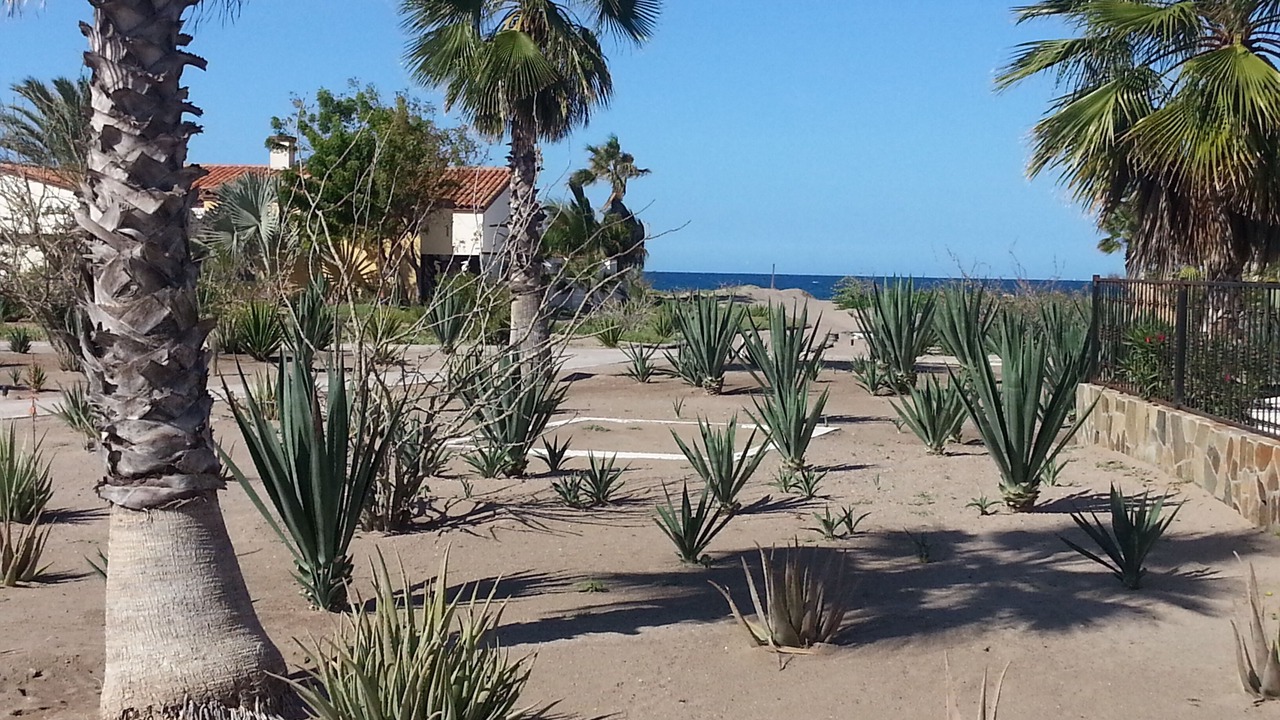 Photo of Others in La Paz