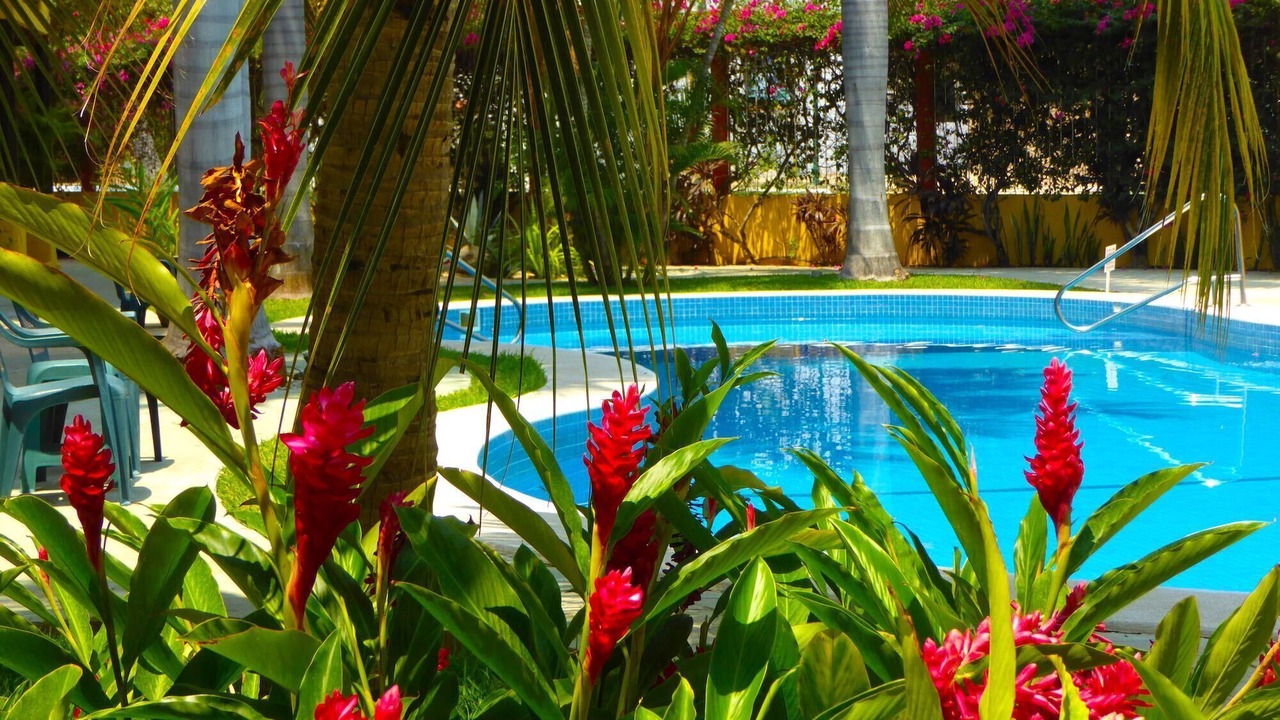 Photo of Outdoor in Santa Maria Huatulco