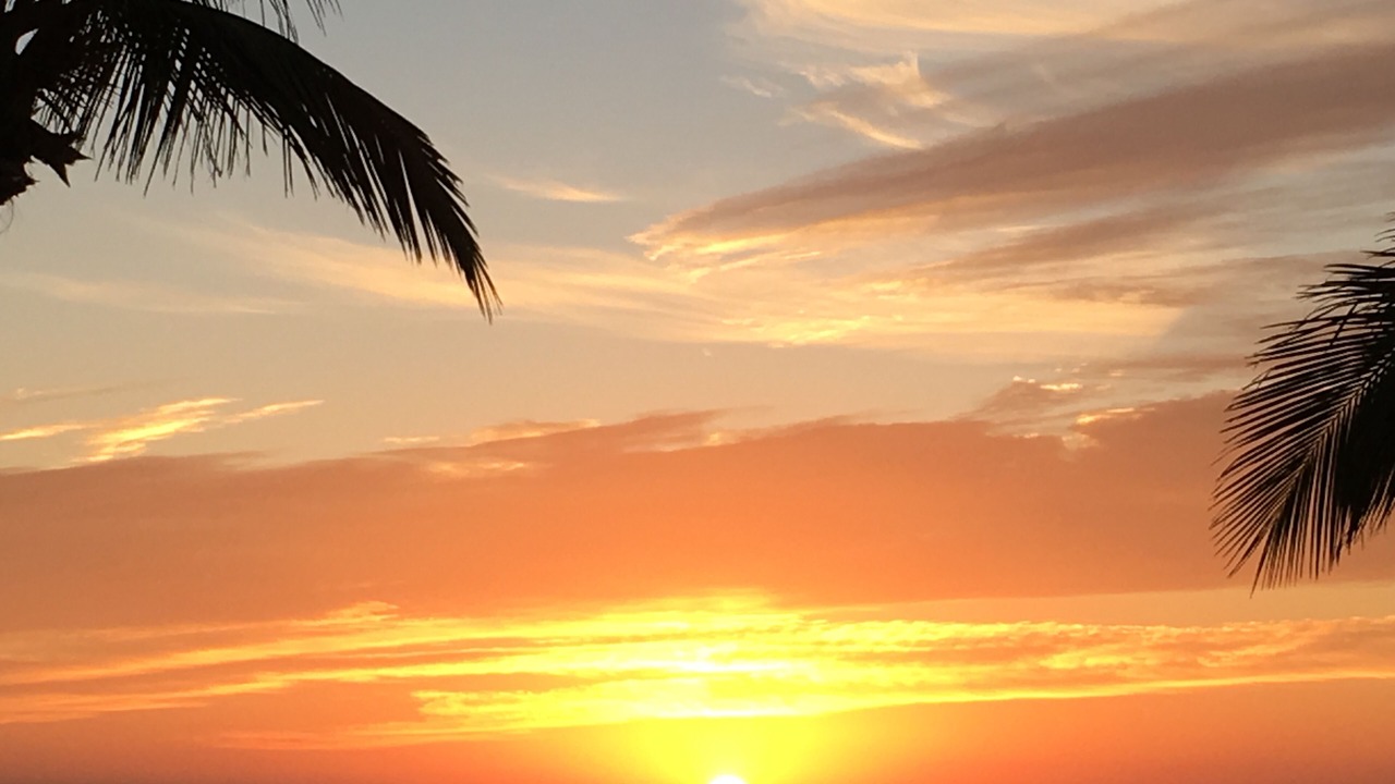 Photo of Others in San Jose del Cabo
