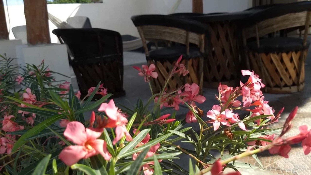 Photo of Outdoor in Tulum City Center