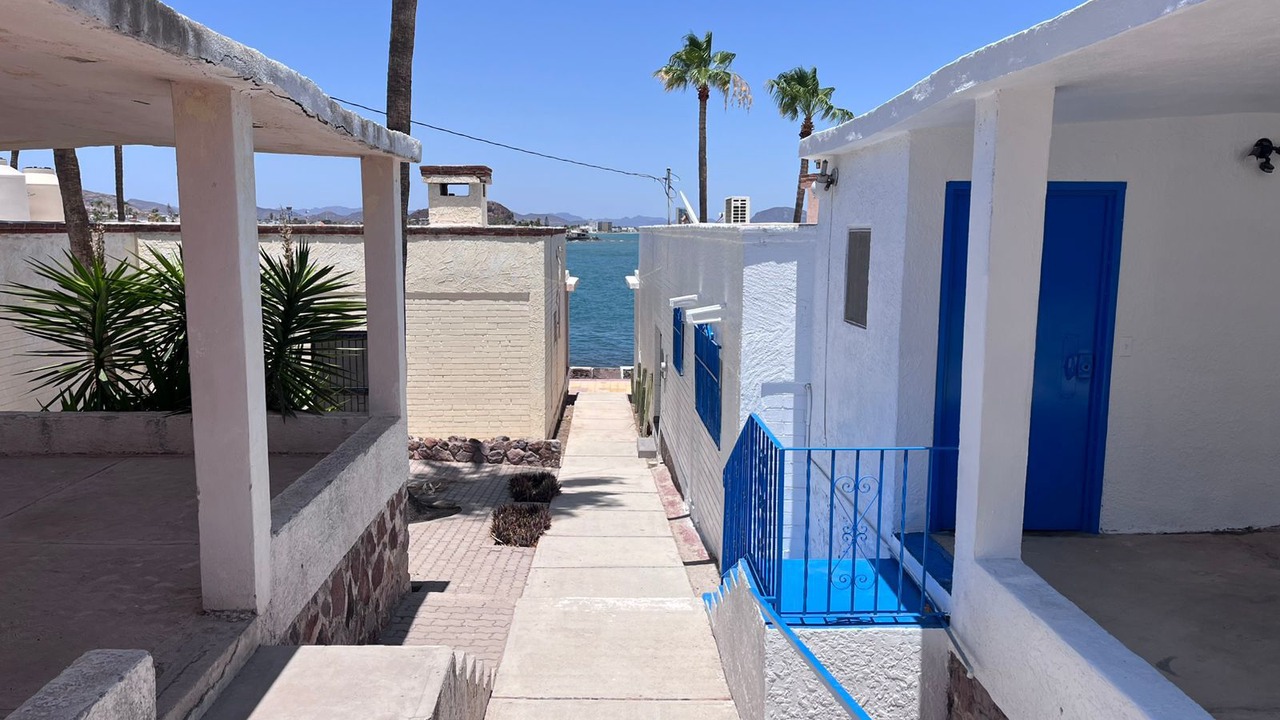 Photo of Outdoor in San Carlos