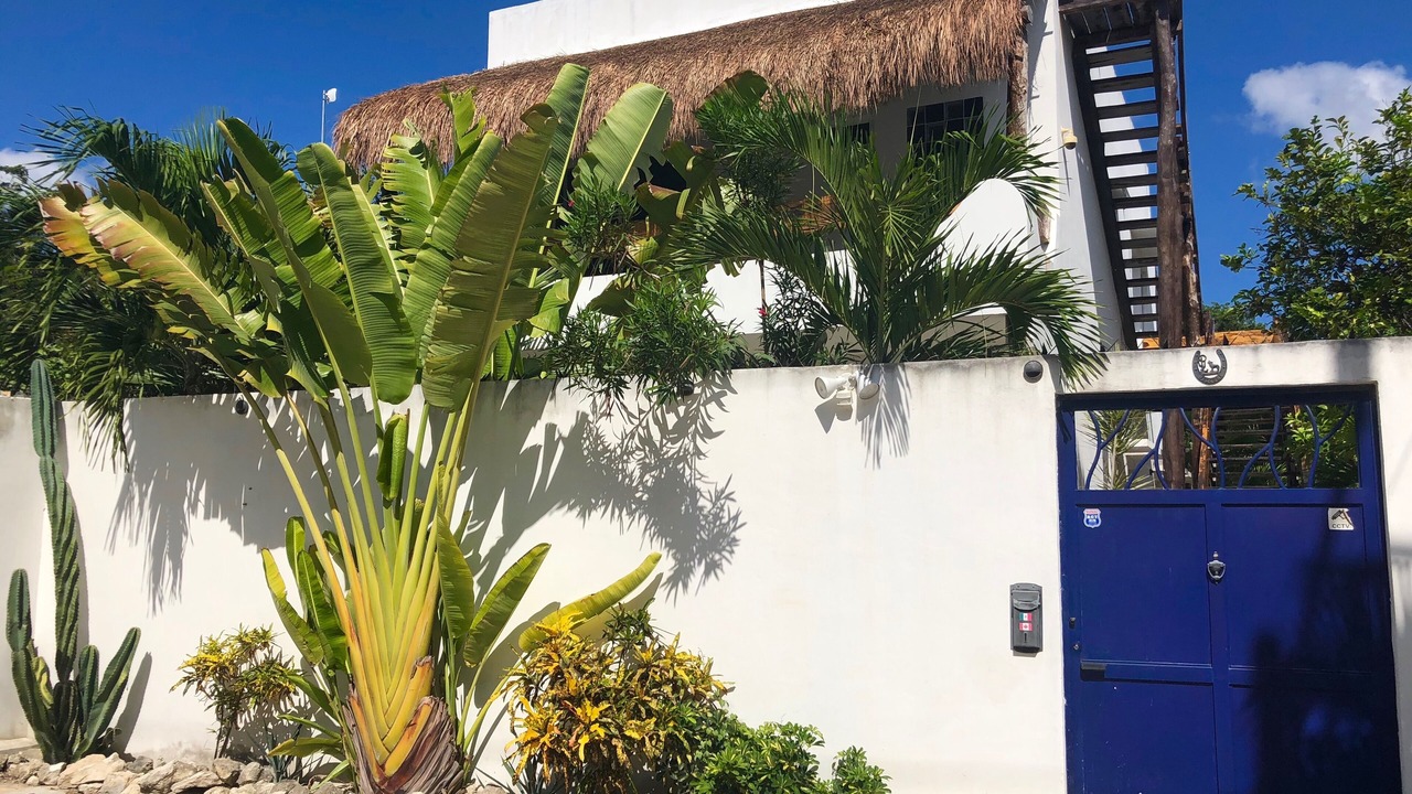 Photo of Outdoor in Tulum City Center