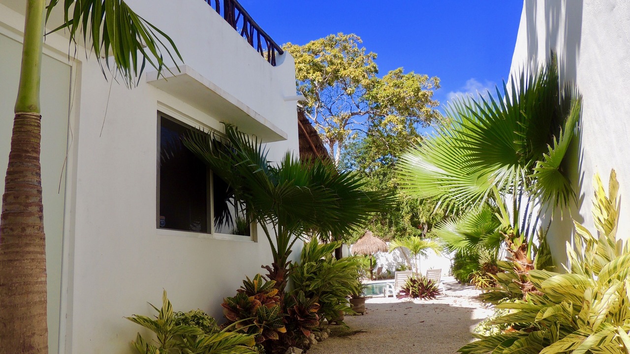 Photo of Outdoor in Tulum City Center