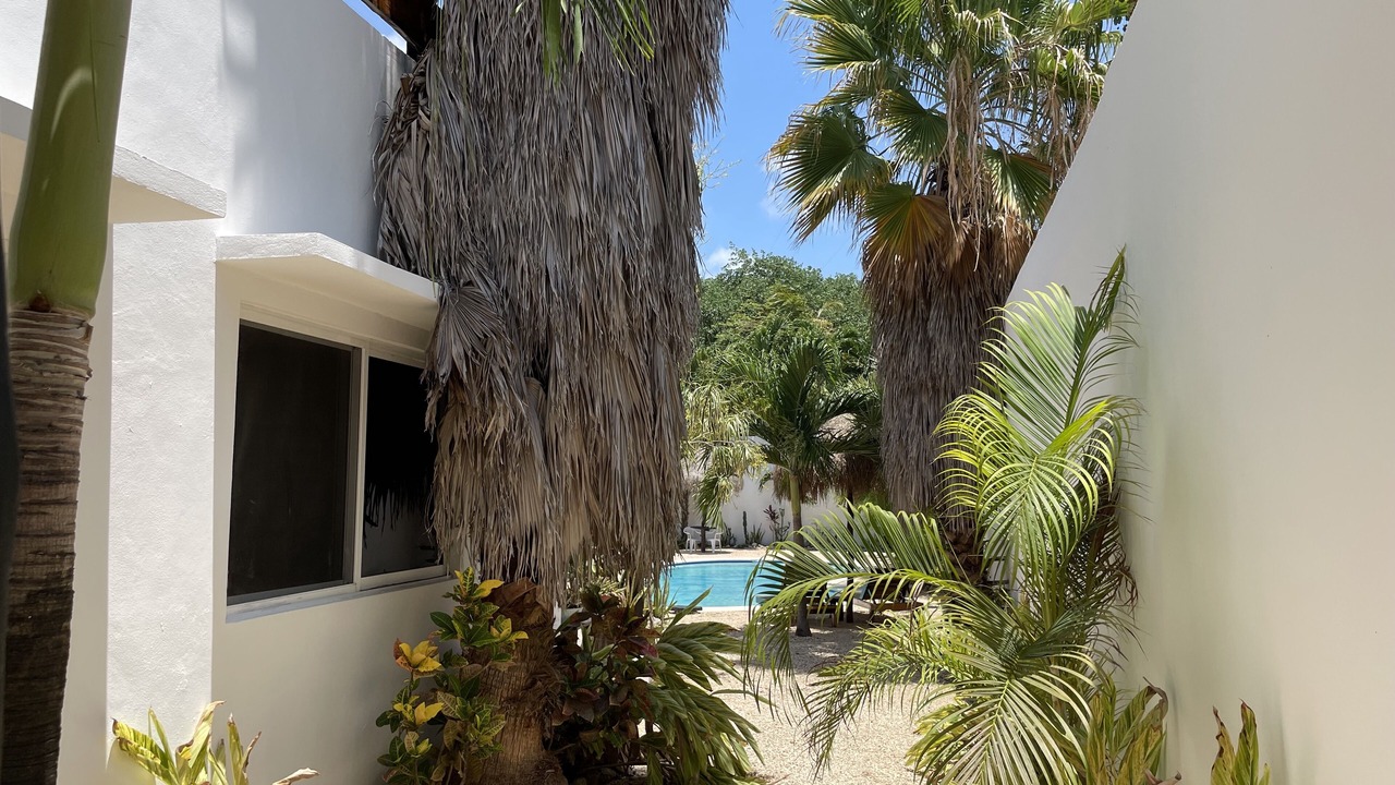 Photo of Outdoor in Tulum City Center