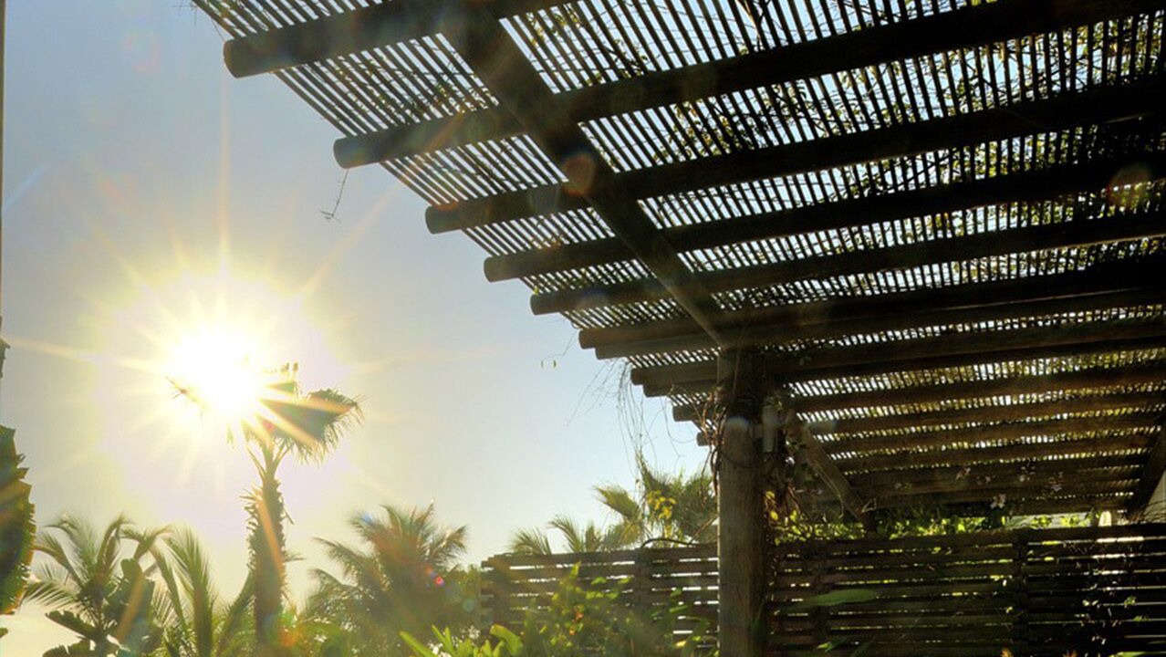 Photo of Outdoor in Punta de Mita