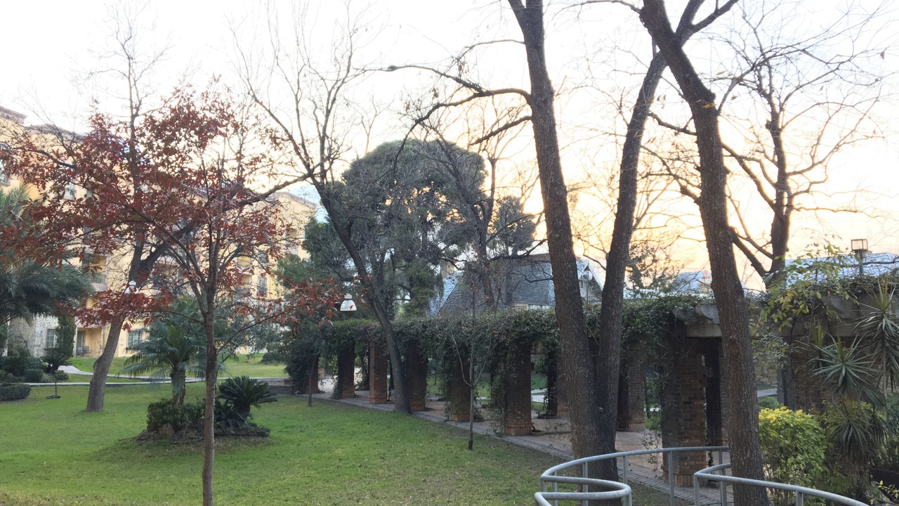 Photo of Outdoor in Santa Catarina