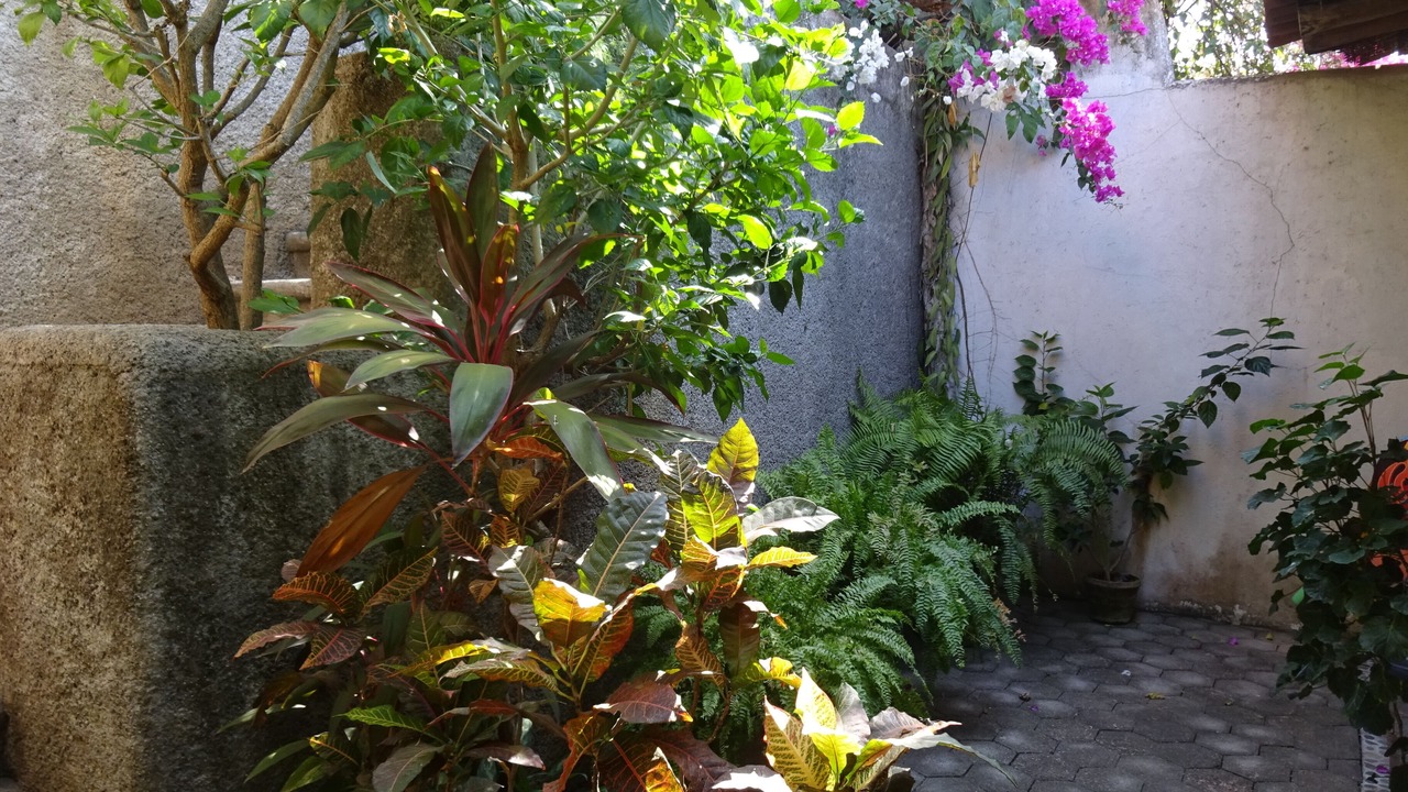 Photo of Outdoor in Zihuatanejo
