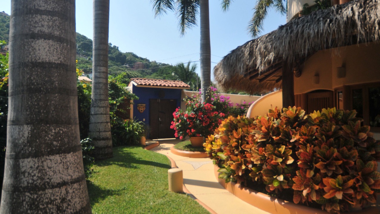 Photo of Outdoor in Zihuatanejo
