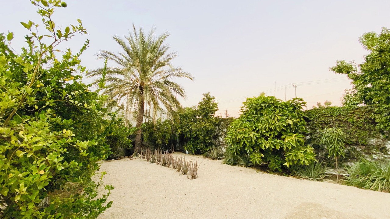 Photo of Outdoor in Ildefonso Green