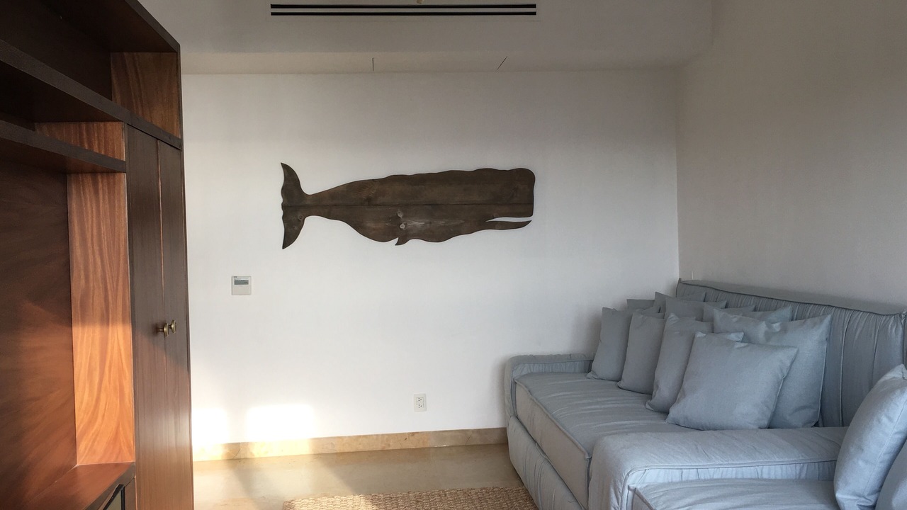 Photo of Livingroom in Punta de Mita