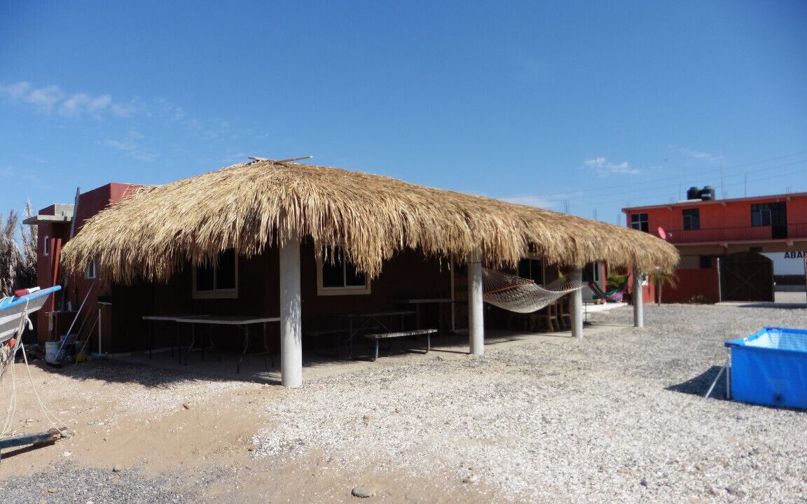Photo of Outdoor in San Juanico