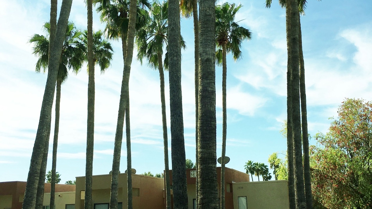 Photo of Outdoor in South Scottsdale