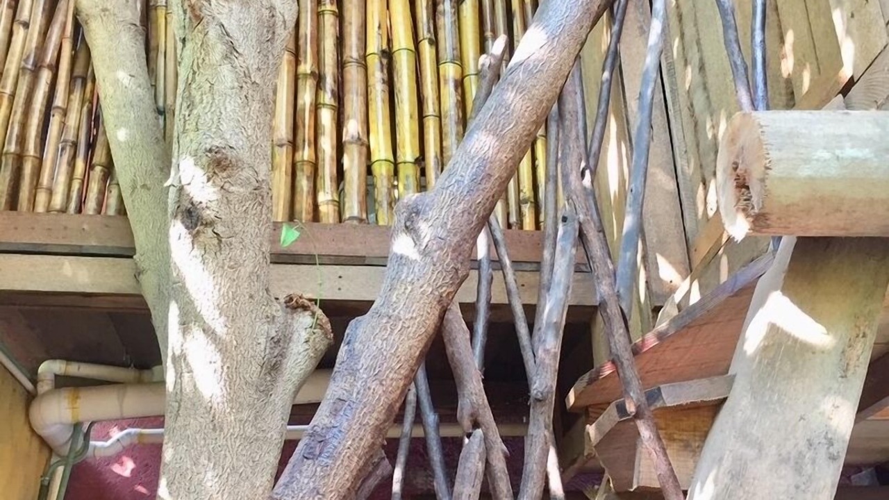 Photo of Outdoor in Playa Las Gatas