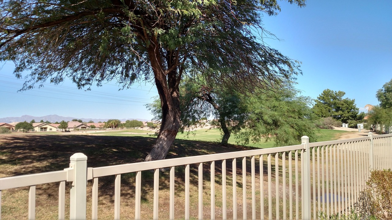 Photo of Others in Coldwater Springs