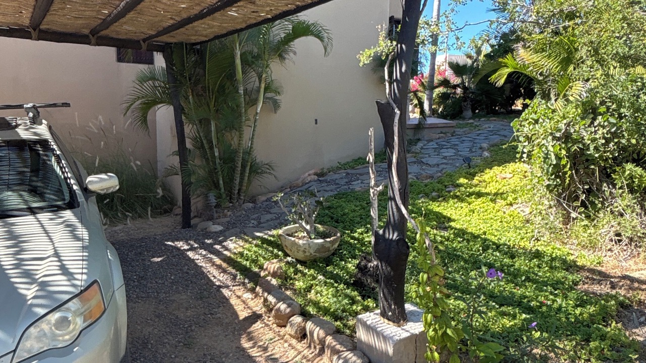 Photo of Others in Todos Santos