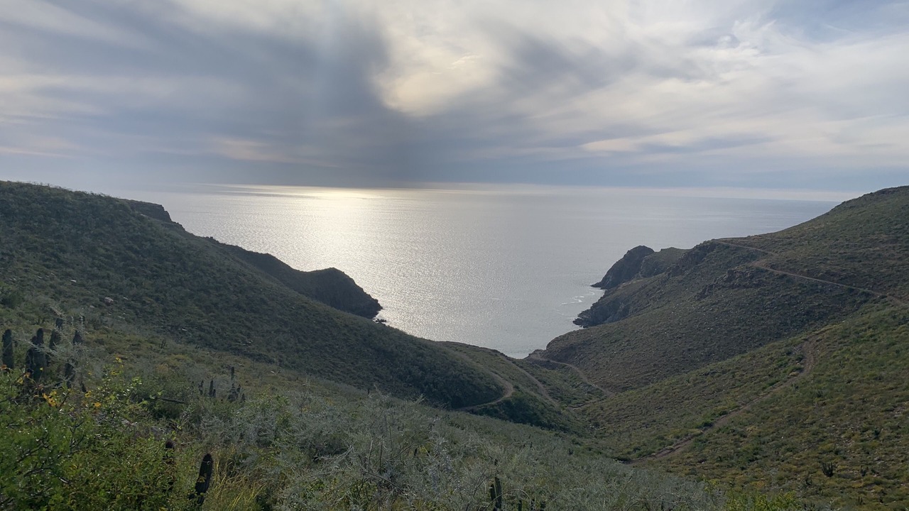 Photo of Others in Todos Santos