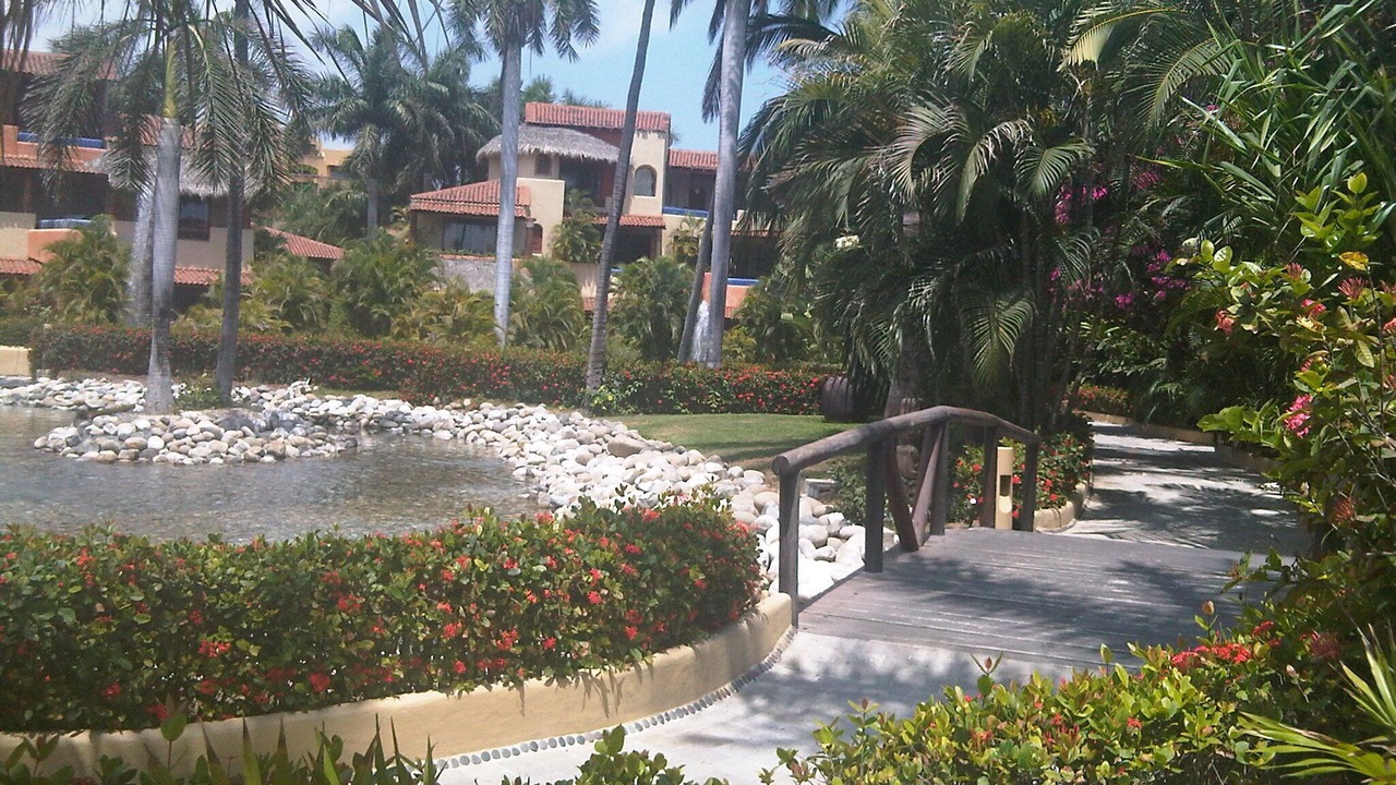 Photo of Others in Zihuatanejo