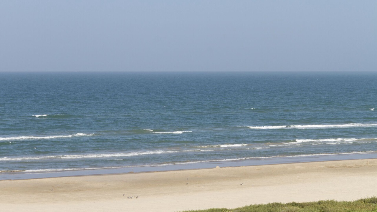 Photo of Others in South Padre Island
