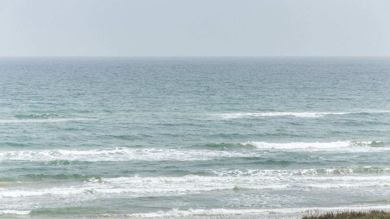 Photo of Others in South Padre Island