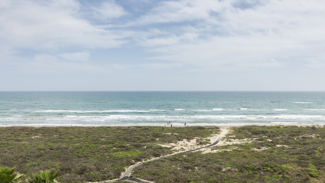 Photo of Others in South Padre Island