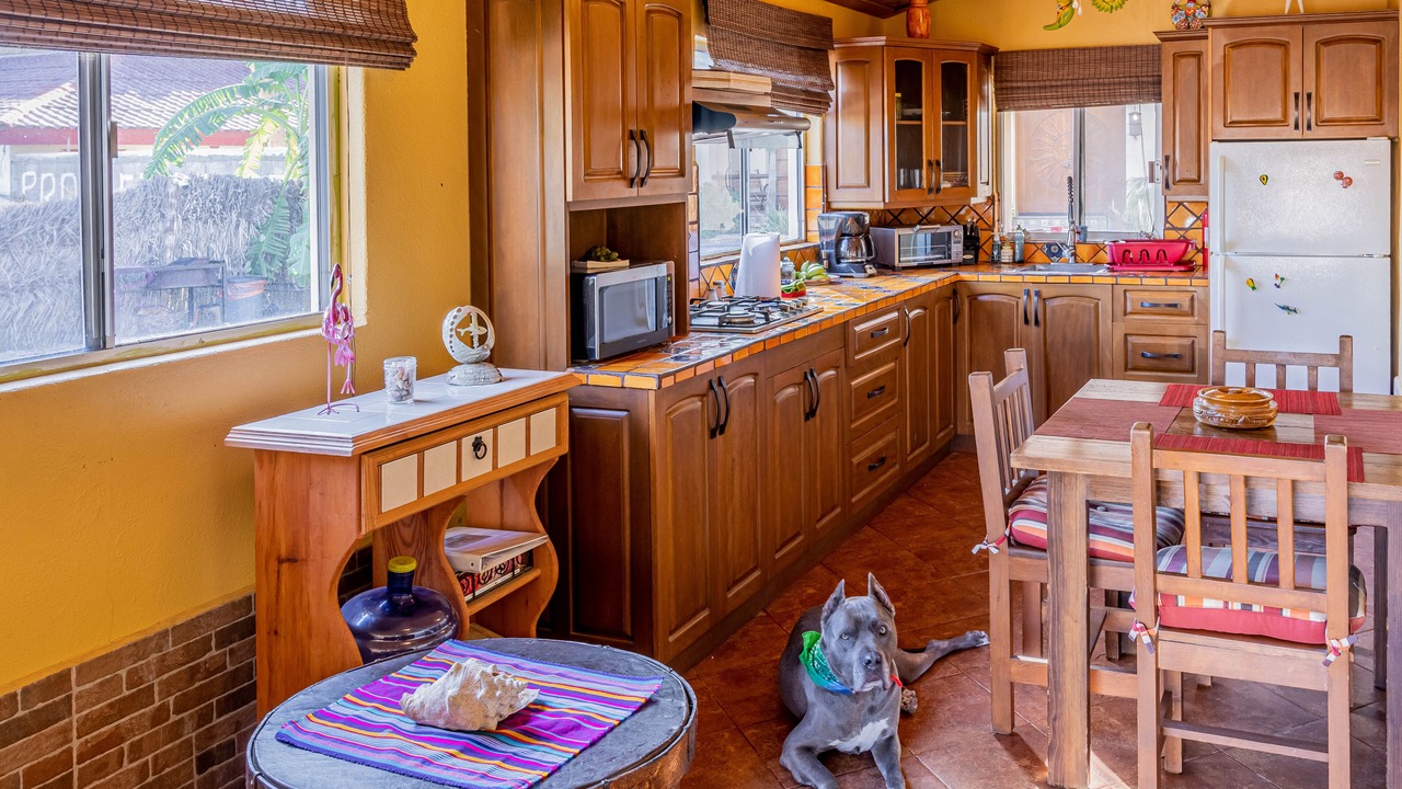 Photo of Kitchen in Zaragoza