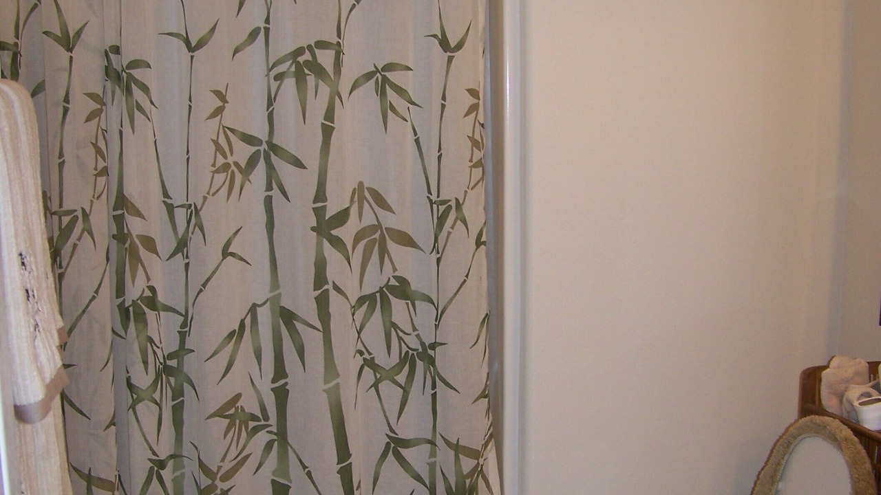 Photo of Bathroom in Laguna Vista