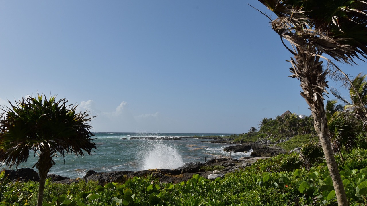 Photo of Others in Akumal