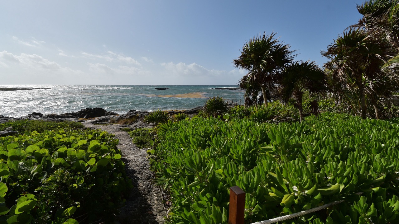 Photo of Others in Akumal