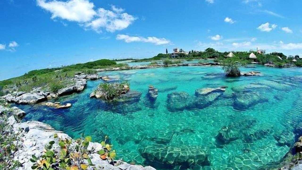 Photo of Others in Akumal
