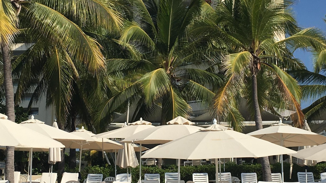 Photo of Outdoor in Ixtapa