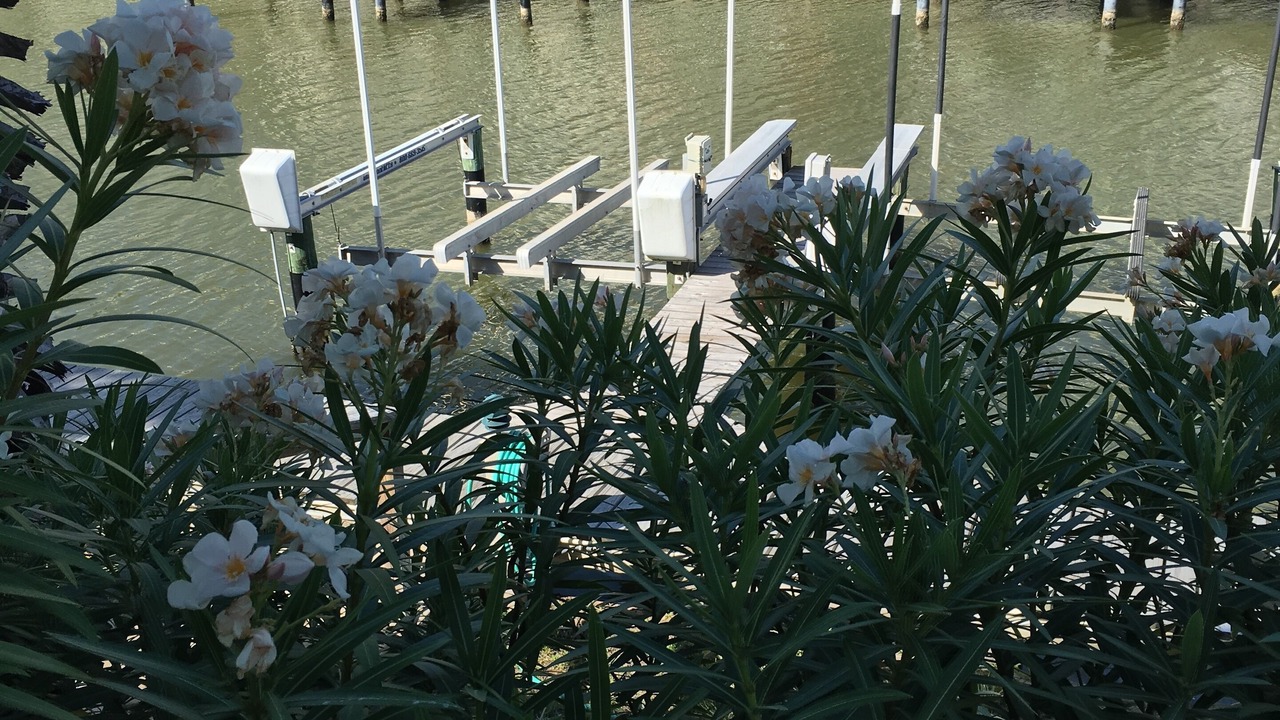 Photo of Others in Laguna Vista