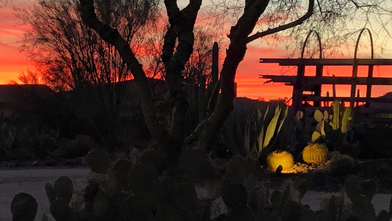 Photo of Outdoor in Cave Creek
