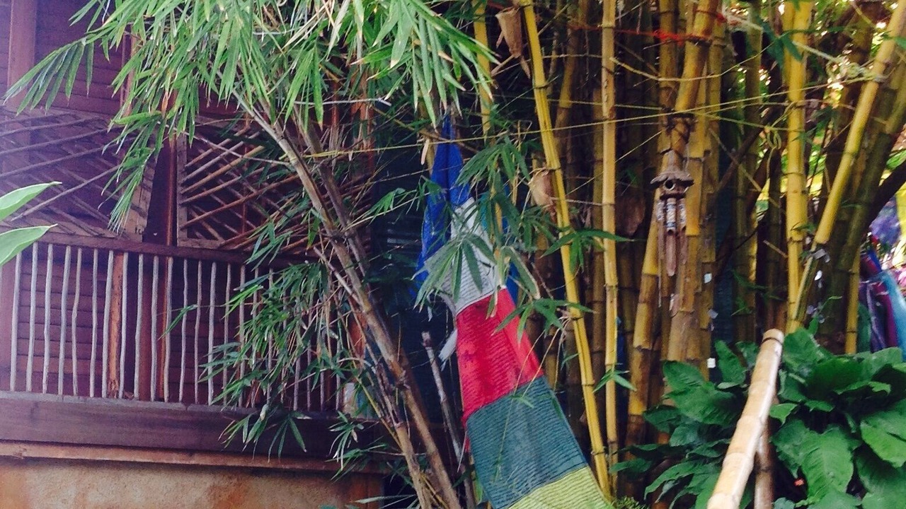 Photo of Outdoor in Playa Las Gatas