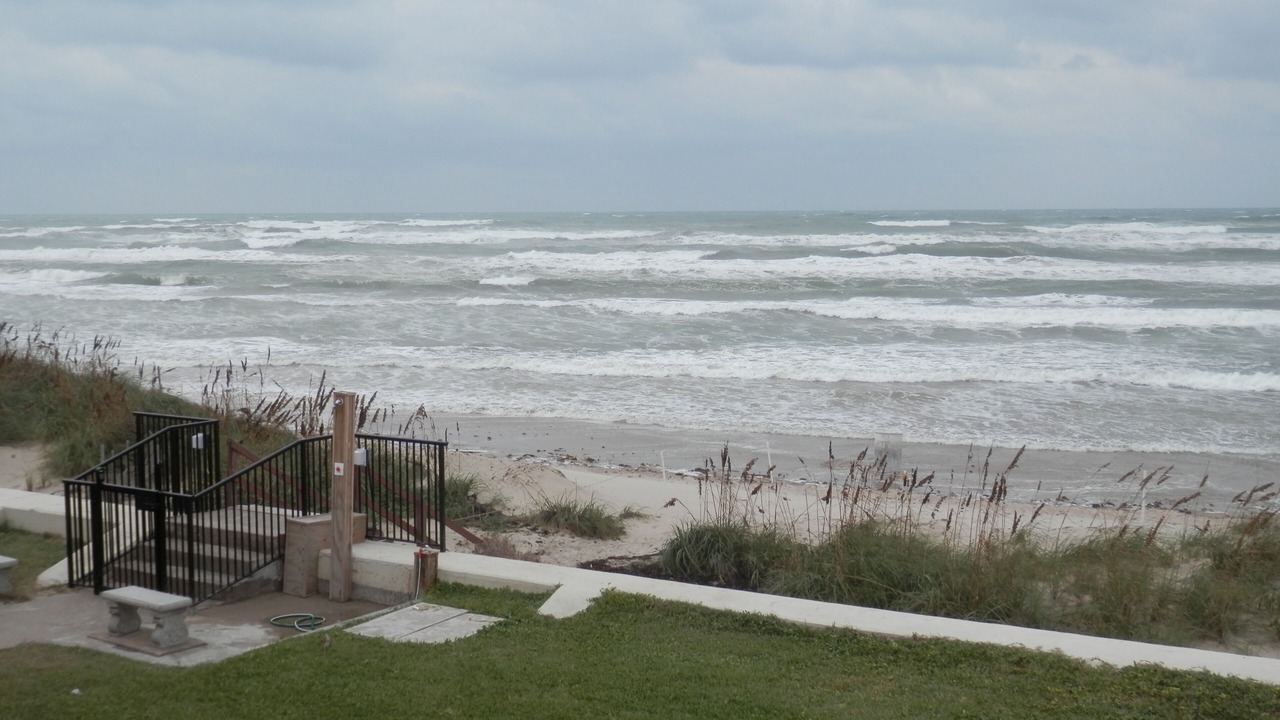 Photo of Others in South Padre Island