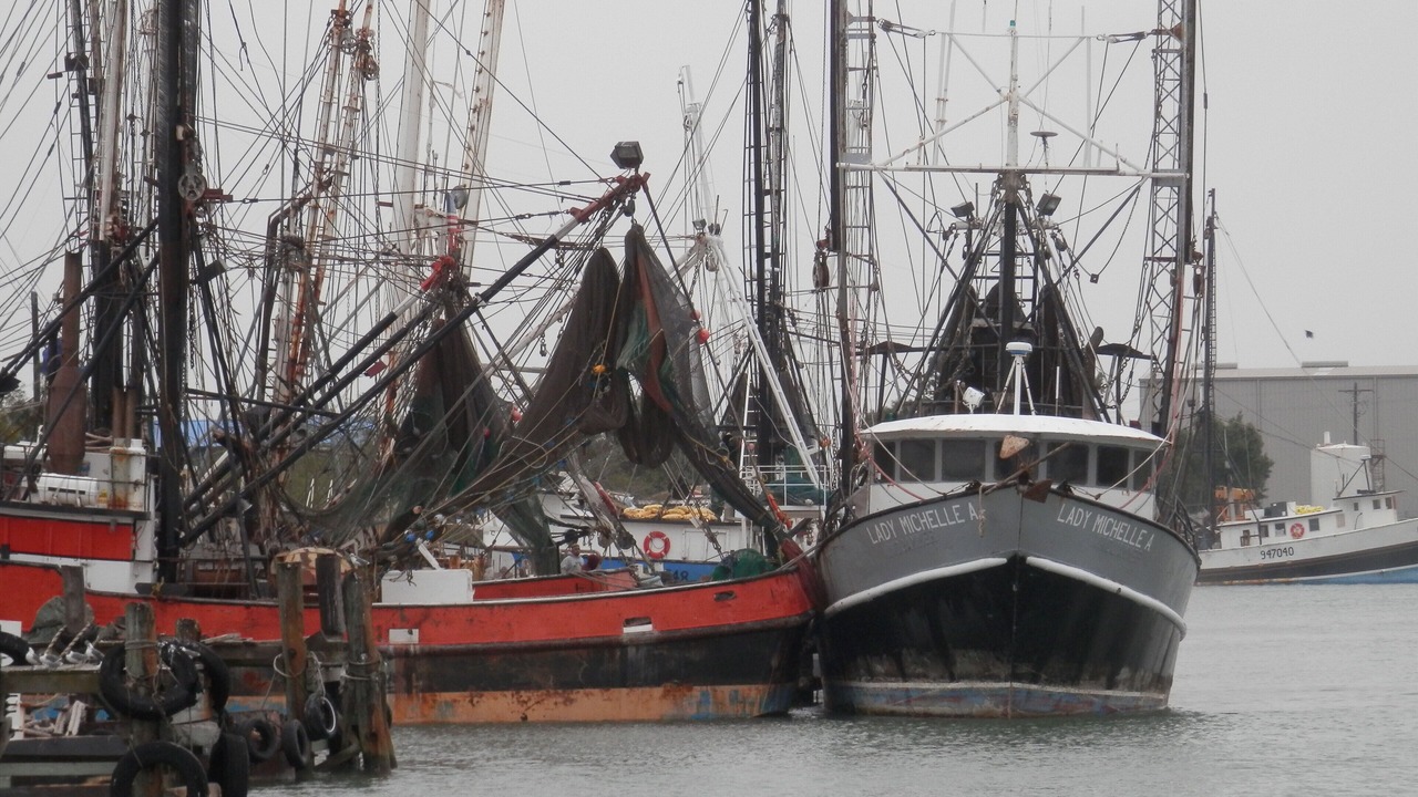 Photo of Others in South Padre Island