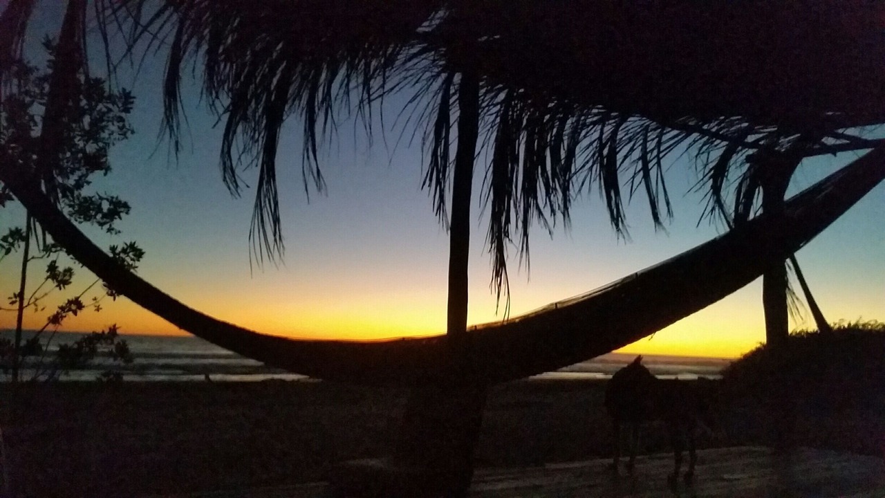 Photo of Outdoor in Troncones