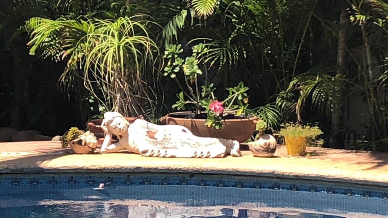 Photo of Outdoor in Troncones