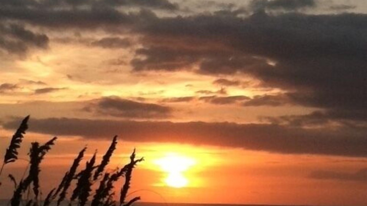 Photo of Others in South Padre Island