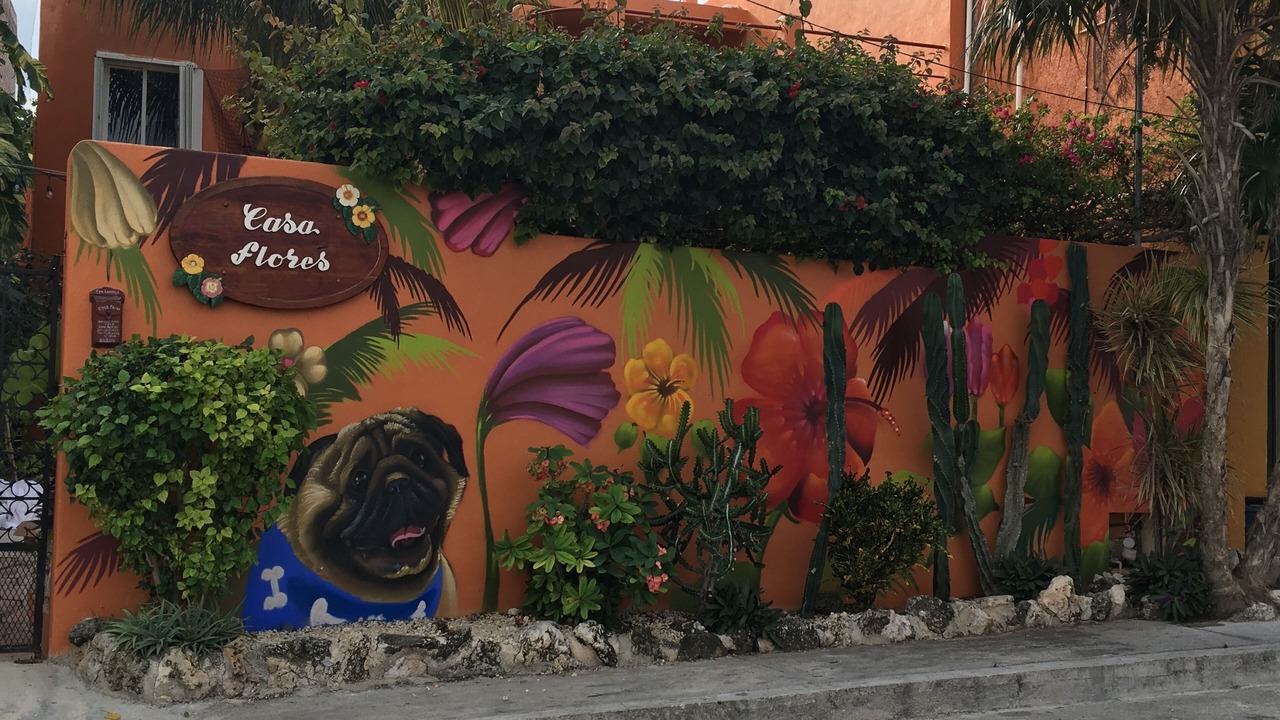 Photo of Others in Isla Mujeres