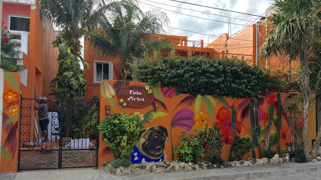 Photo of Others in Isla Mujeres
