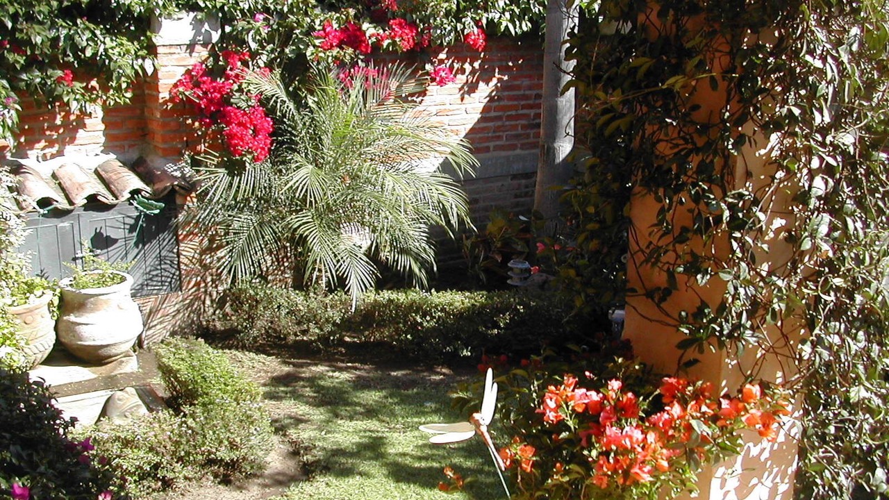 Photo of Outdoor in Ajijic